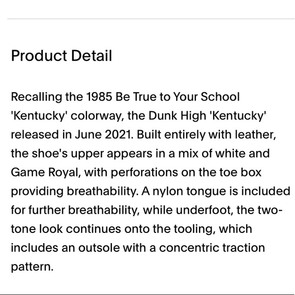 NIKE DUNK HI RETRO ‘KENTUCKY’ SNEAKERS - Picture 10 of 10